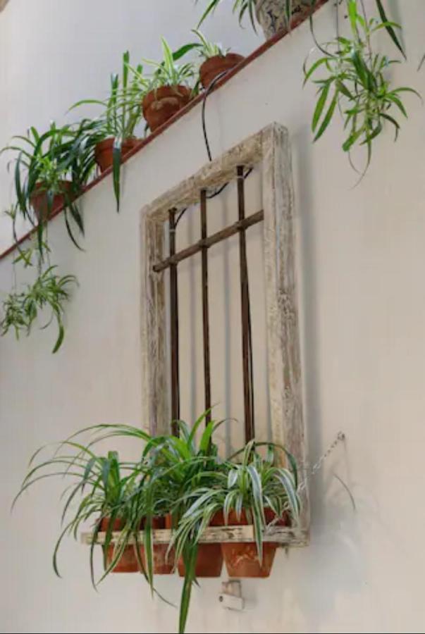Beautiful & Cozy Apartment In The Heart Of Madrid Eksteriør billede